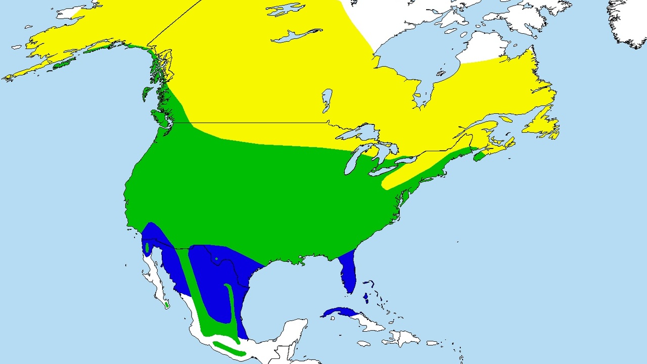 Range map overlays: Turdus migratorius distribution vs thrush migration routes
