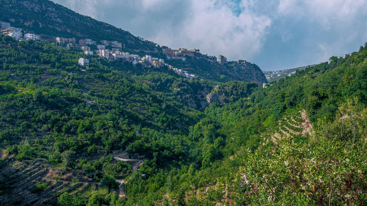 Lebanon hillside with scrub habitat and a distant view of mountains