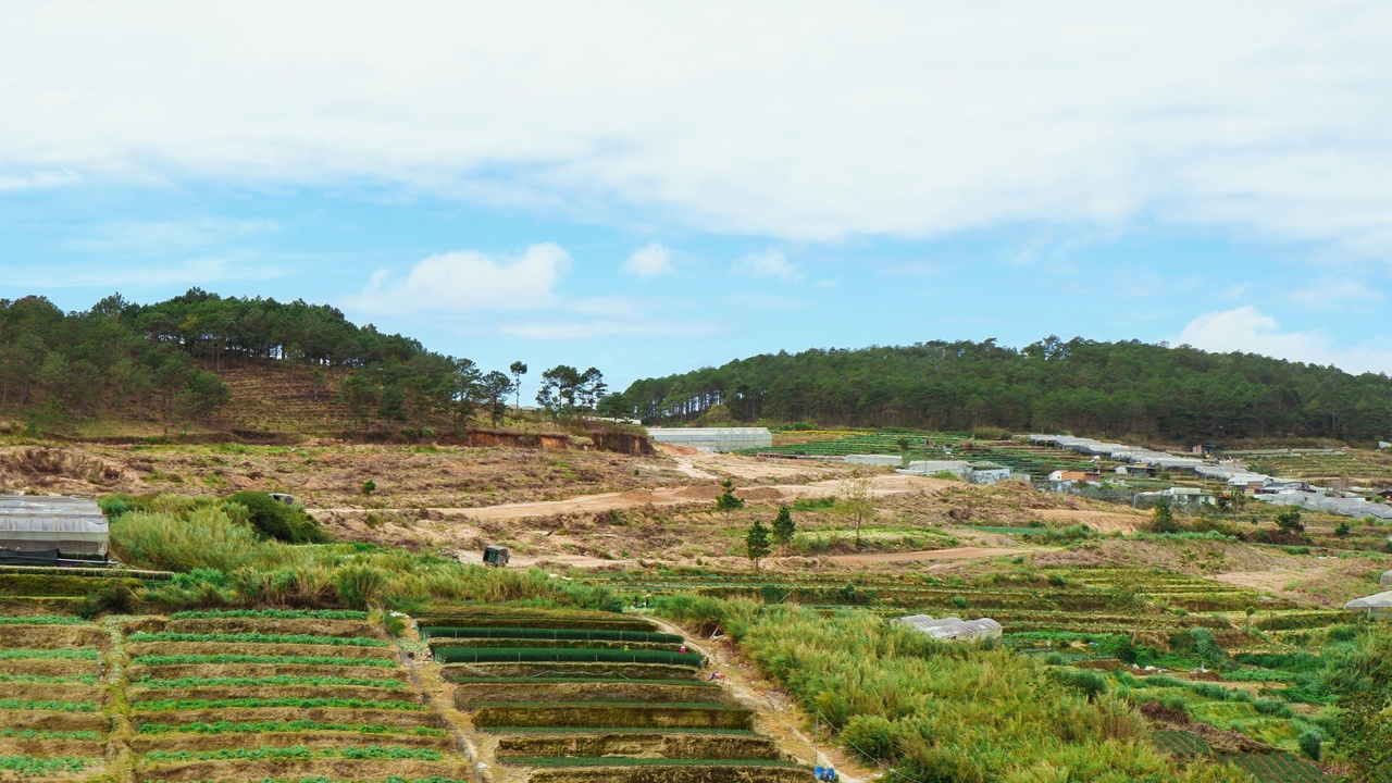 Seaweed farming ropes and algal photobioreactors showing cultivation differences