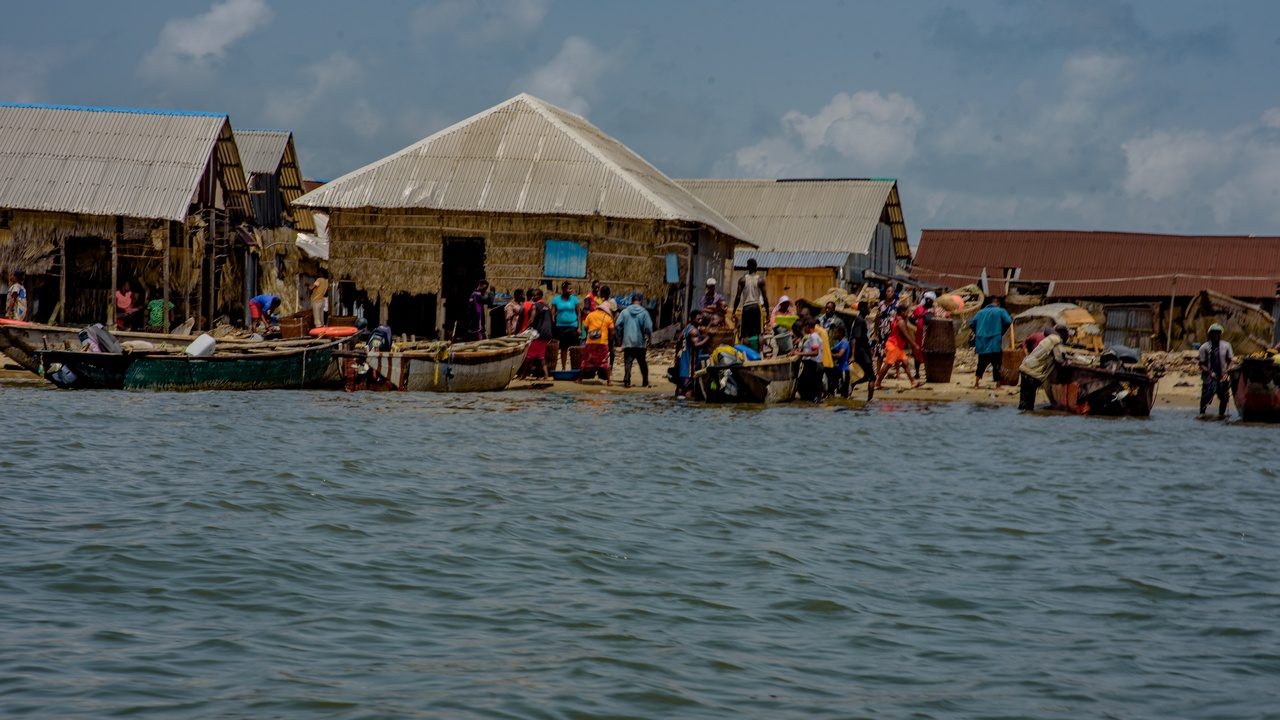 Sea turtles and wetland habitats along Nigeria's coast and the Niger Delta