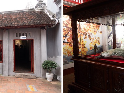 Yangtze Giant Softshell Turtle