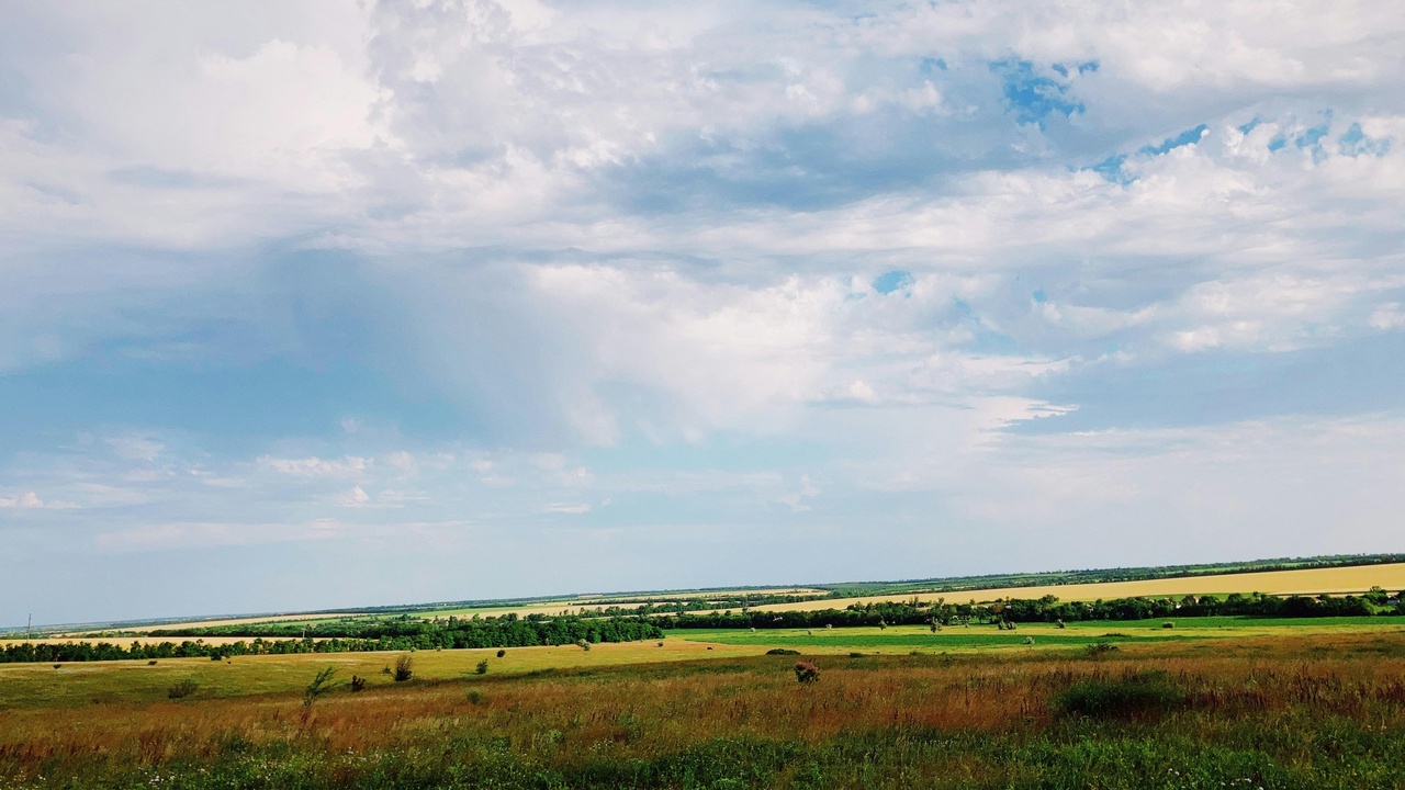 Open steppe landscape with steppe bird in flight