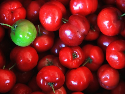 Acerola