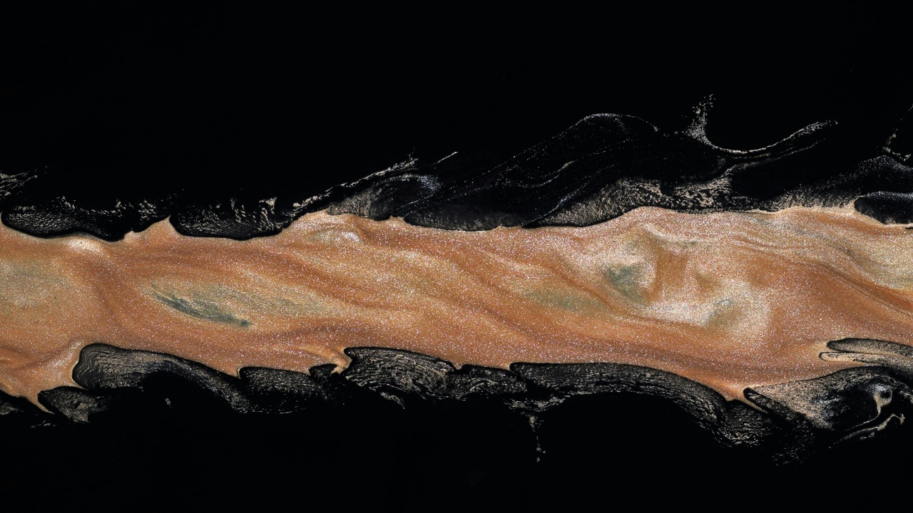 Close-up of moray eel head showing teeth and skin