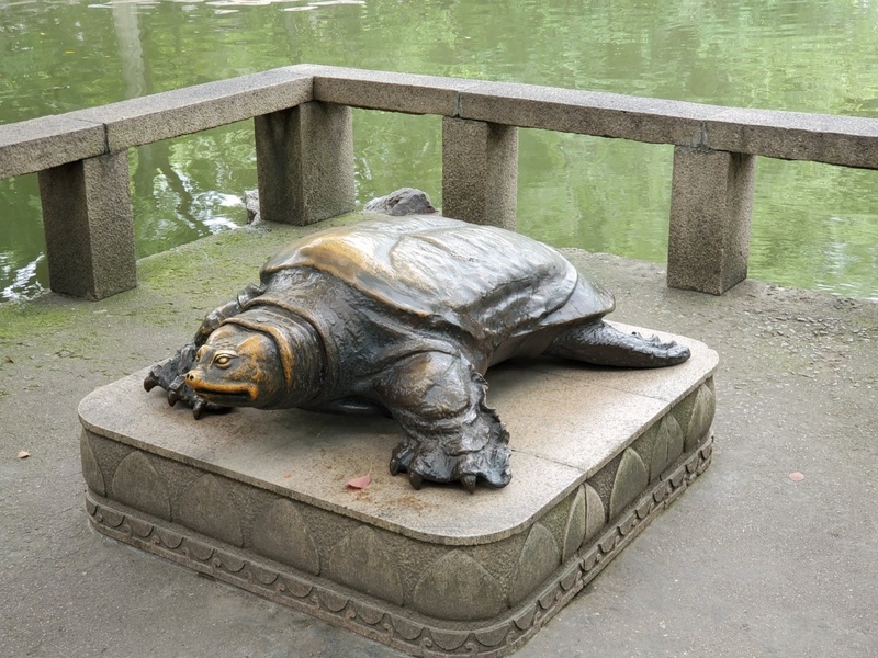 Reptiles of Southeast Asia - Flora Fauna Fun