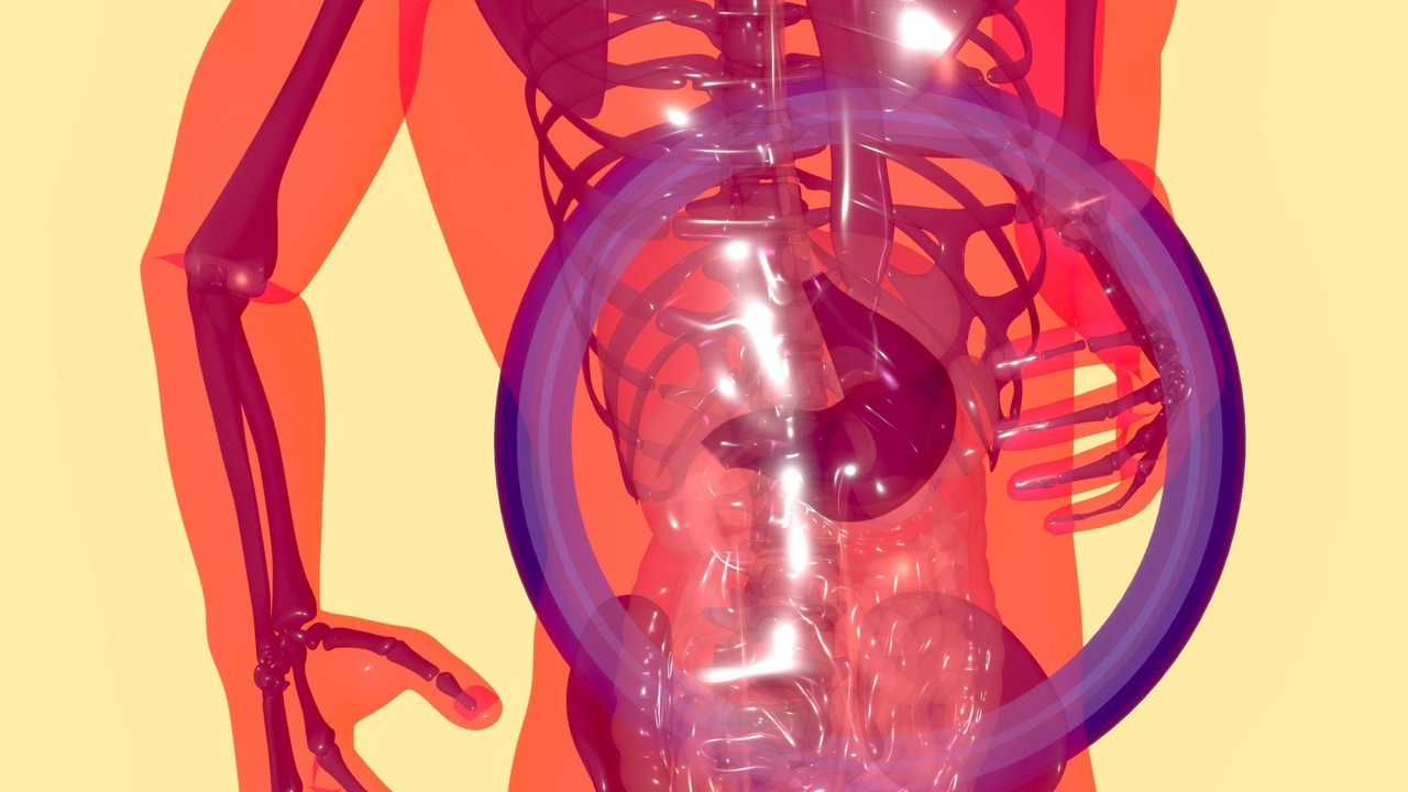 Close-up of tendrils and twining stems showing vine anatomy