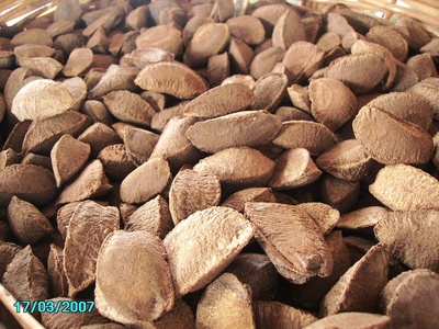 Brazil nut