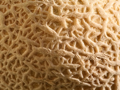 Cantaloupe/Melon