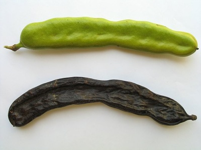 Carob