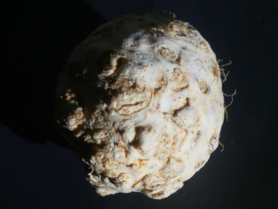 Celeriac (Celery Root)