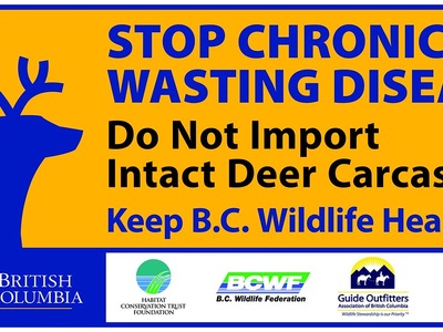 Chronic wasting disease