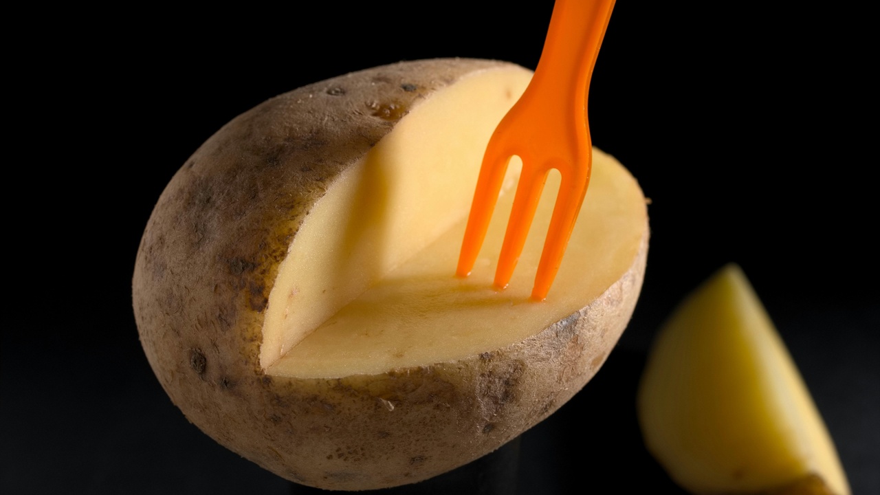 Plated dishes showing mashed potatoes, sweet potato fries, and roasted potato wedges to illustrate culinary uses