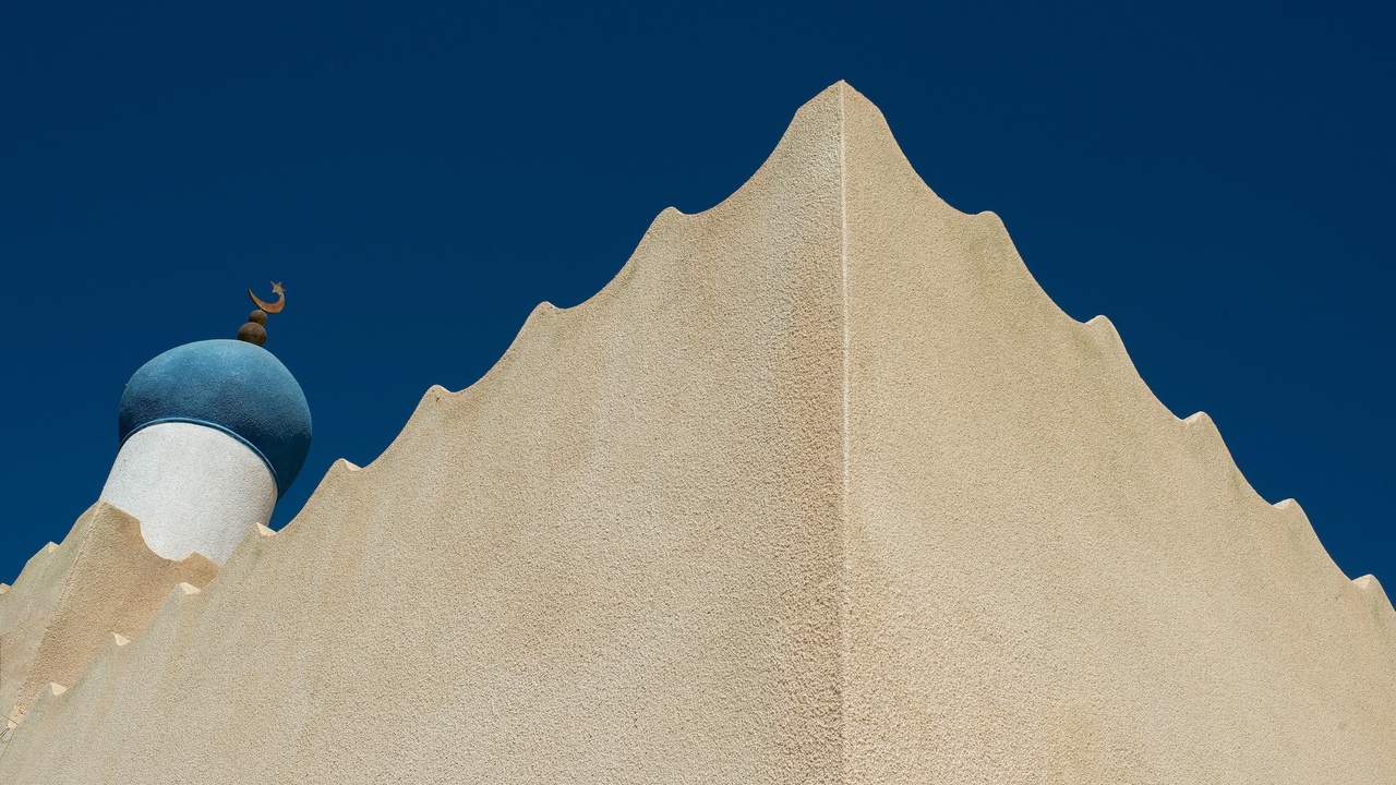 Arabian Oryx on desert plain near protective fence, Oman