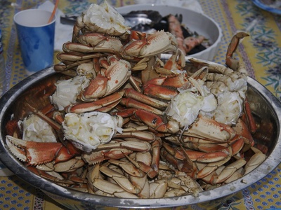 Dungeness crab