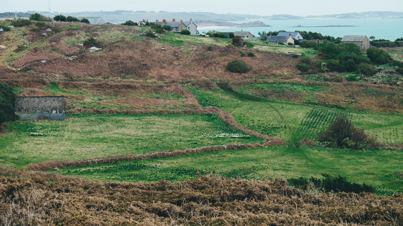 Hillside rice terraces at sunrise showing stepped benches and irrigation channels