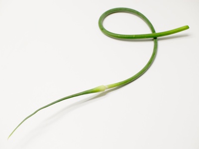 Garlic scapes