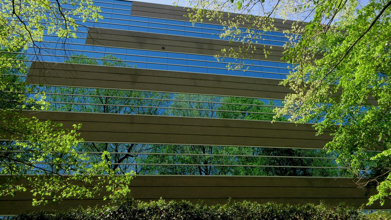 Shaded urban street with trees and people walking in a park
