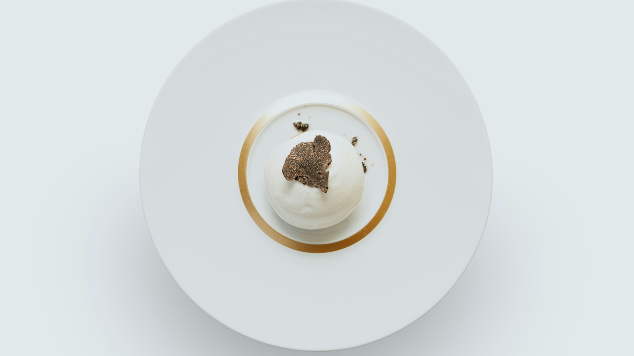 Escargot dish and snail mucin skincare products illustrating human uses and conservation concerns