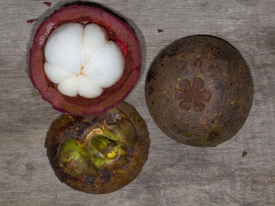 Mangosteen