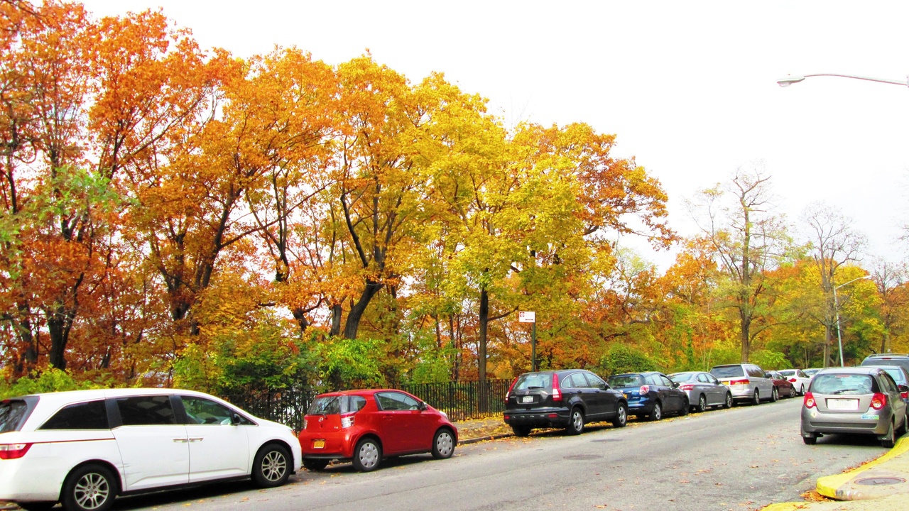 Cross-section of evergreen needle and deciduous leaf showing anatomy