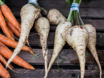 Parsnip