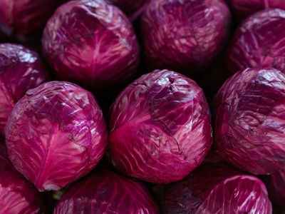 Purple cabbage