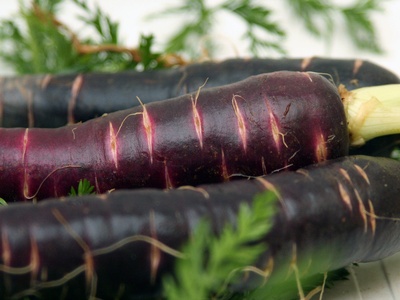 Purple carrot