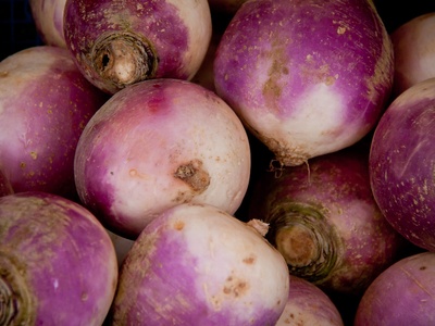 Purple radish