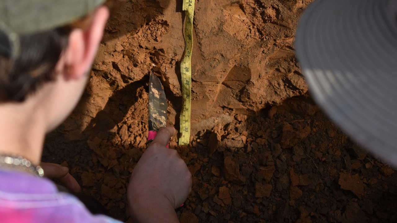 A person using a soil penetrometer and a bulk density corer, alongside a shovel showing earthworms pulled from the soil.