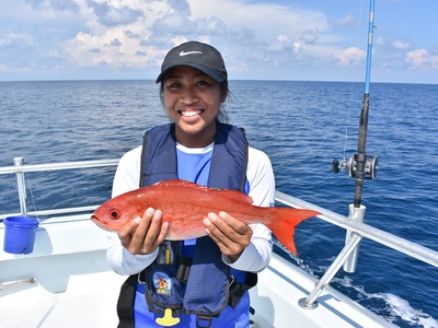 Vermilion Snapper
