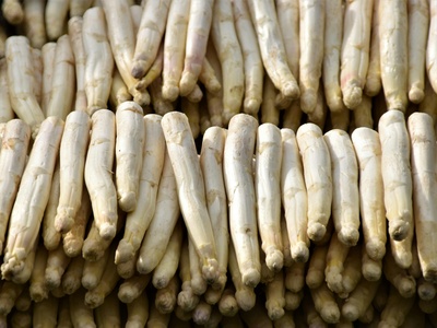 White Asparagus