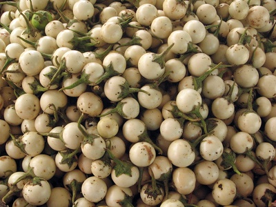 White Eggplant