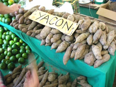 Yacon