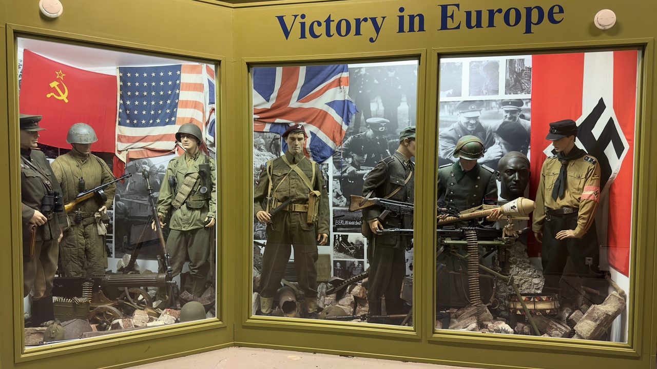 Migratory birds over Nemunas Delta and a white-tailed eagle perched near the Curonian Lagoon