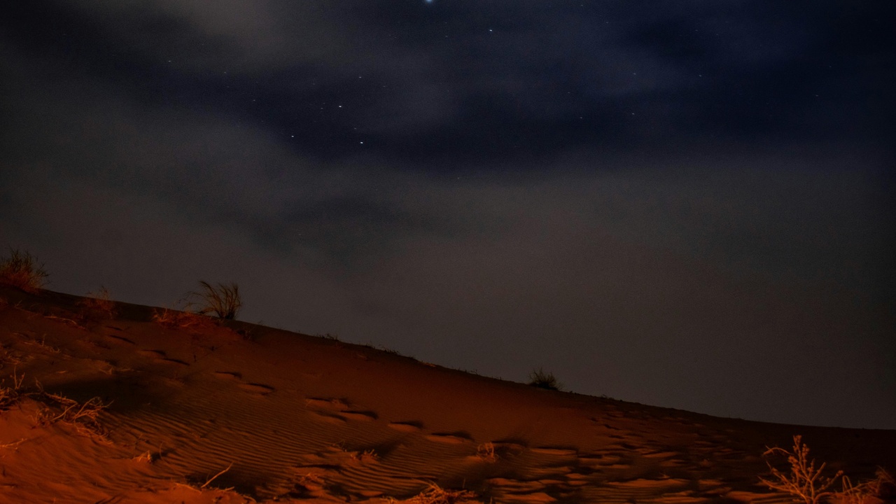 Fennec fox near the entrance of a burrow at dusk
