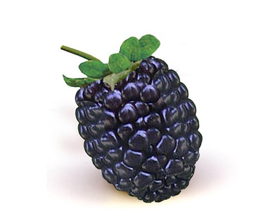 Blackberry