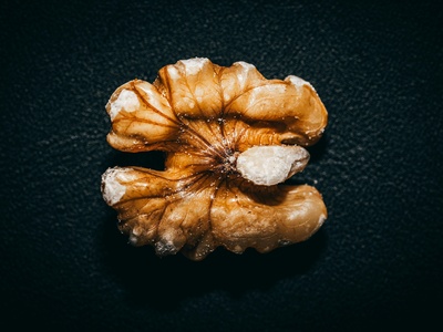Breadnut (seed use)
