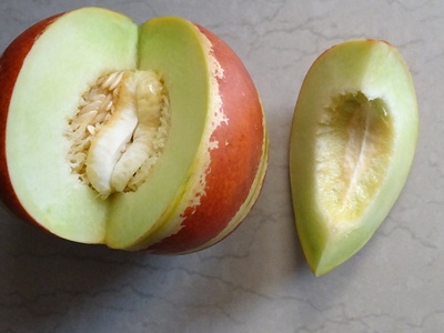 Cantaloupe (muskmelon)