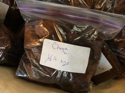 Chaga