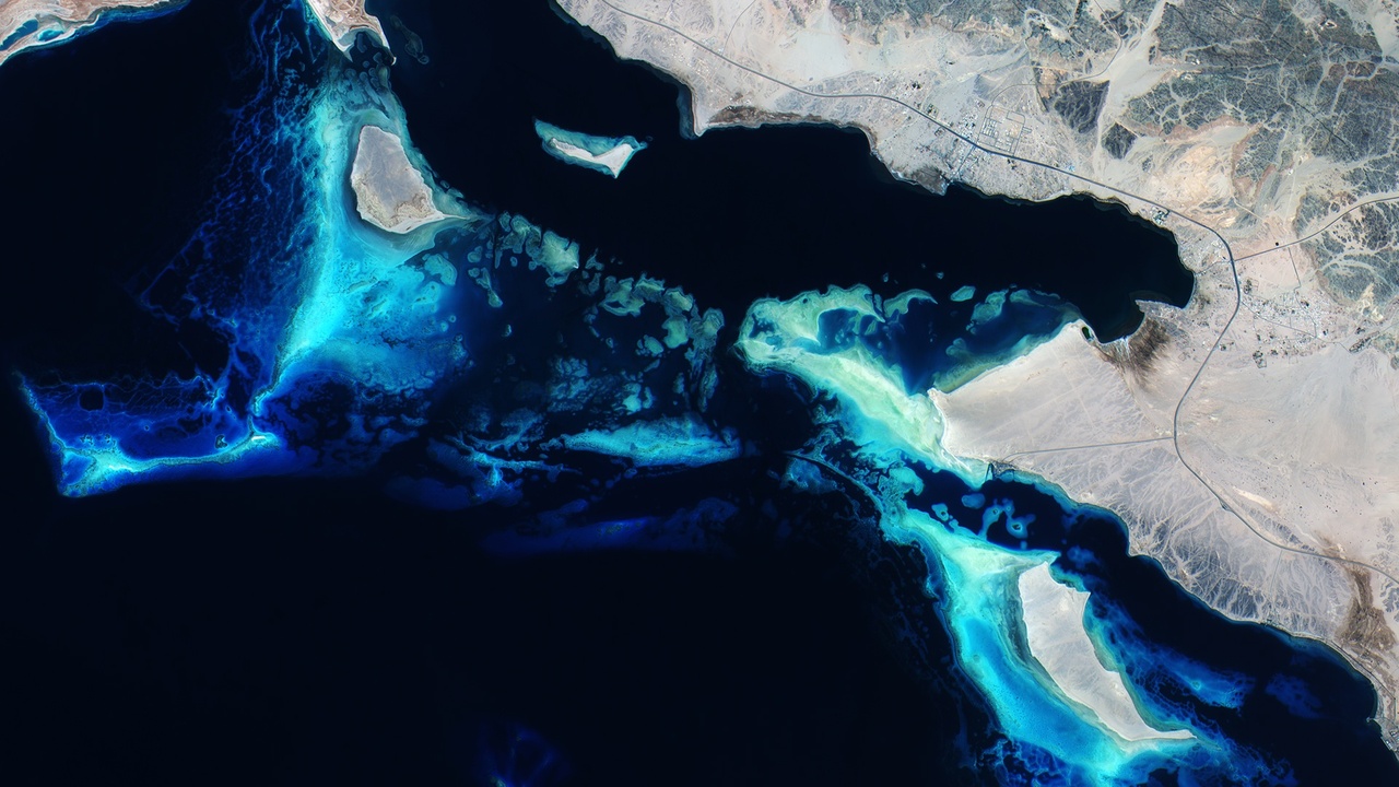 Coral reef and coastal waters off Yemen illustrating Red Sea and Gulf of Aden marine life