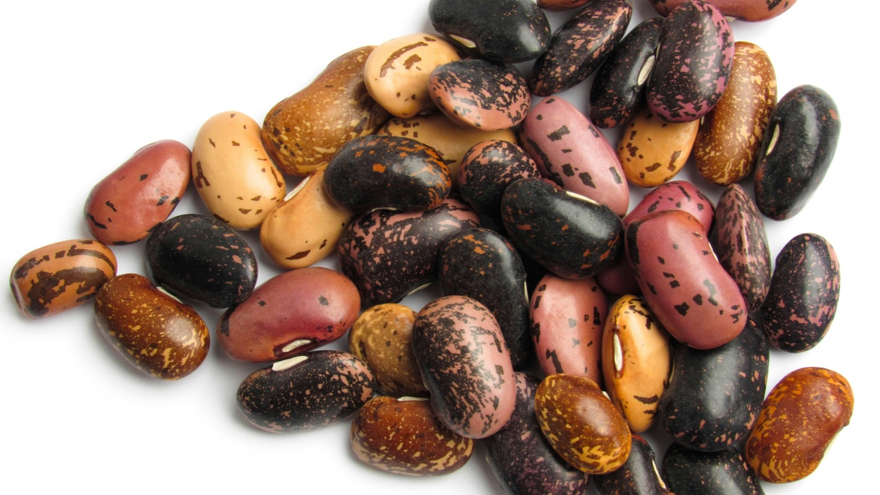 Cooked black beans and pinto beans side by side showing texture and color differences