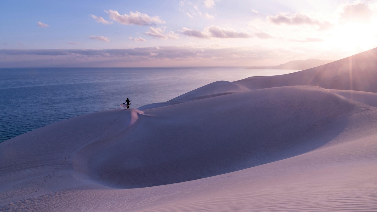 Lowland wadi landscape in Yemen illustrating desert and coastal plain habitats used by migratory birds and scavengers