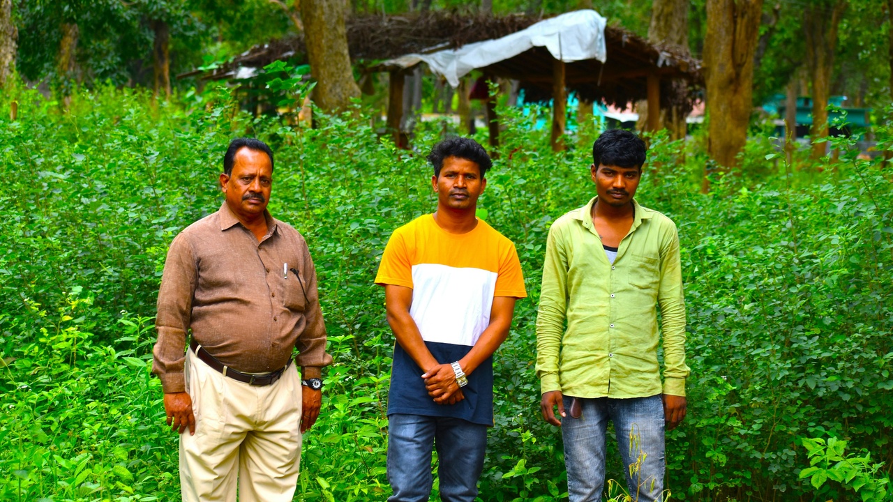 Local market selling forest products and sustainable timber