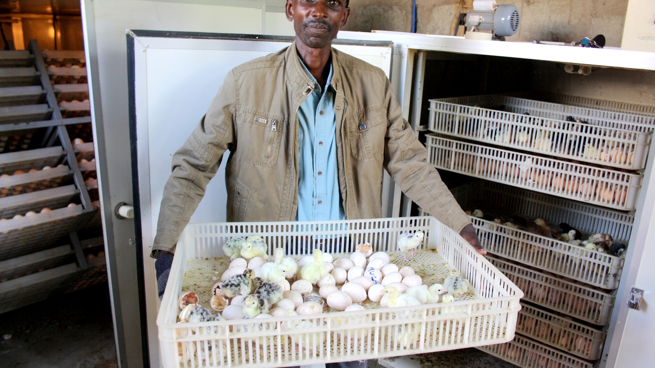 Smallholder mixed cropping and local market exchange