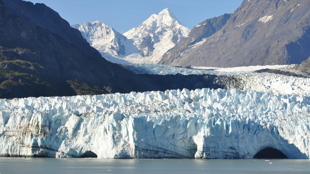 Pioneer-driven soil formation: lupine patches and early successional plant communities building soil