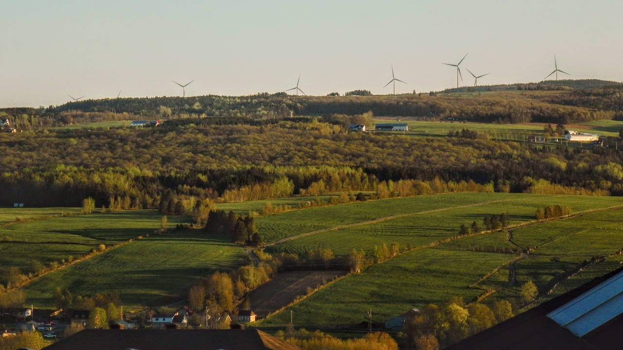 Agroforestry landscape combining trees and crops for biodiversity and soil health
