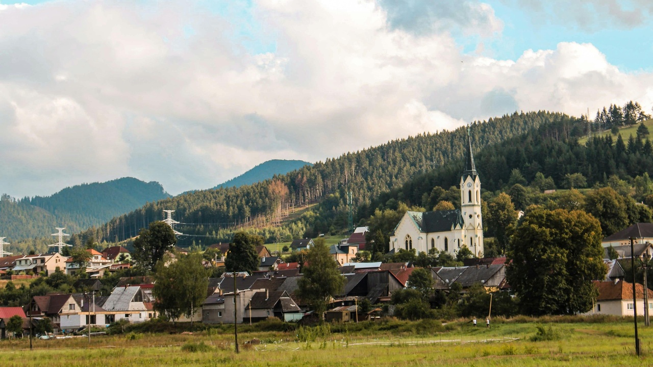 European otter fishing in a clear Slovak stream lined with riparian trees.