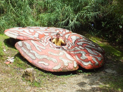 Giant Rafflesia