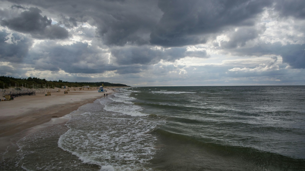 Coastal dunes and traditional hay meadows on the Curonian Spit supporting corncrake and grey seal habitats