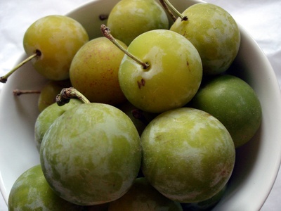 Greengage
